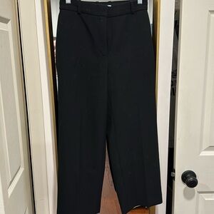 Aritzia tailored pants